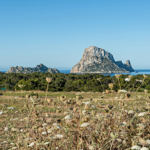  Petunia Ibiza Hotel - Nature Surroundings