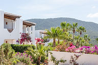 Petunia-Ibiza-Hotel.jpg