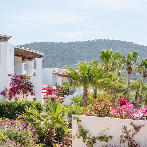 Petunia-Ibiza-Hotel.jpg