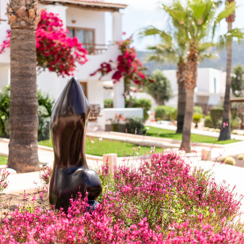 Petunia-Ibiza-Hotel.jpg